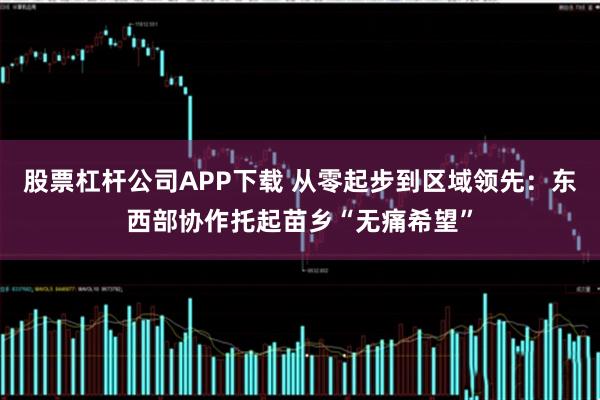 股票杠杆公司APP下载 从零起步到区域领先：东西部协作托起苗乡“无痛希望”